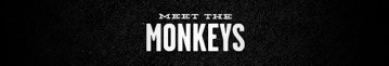 meet-the-monkeys